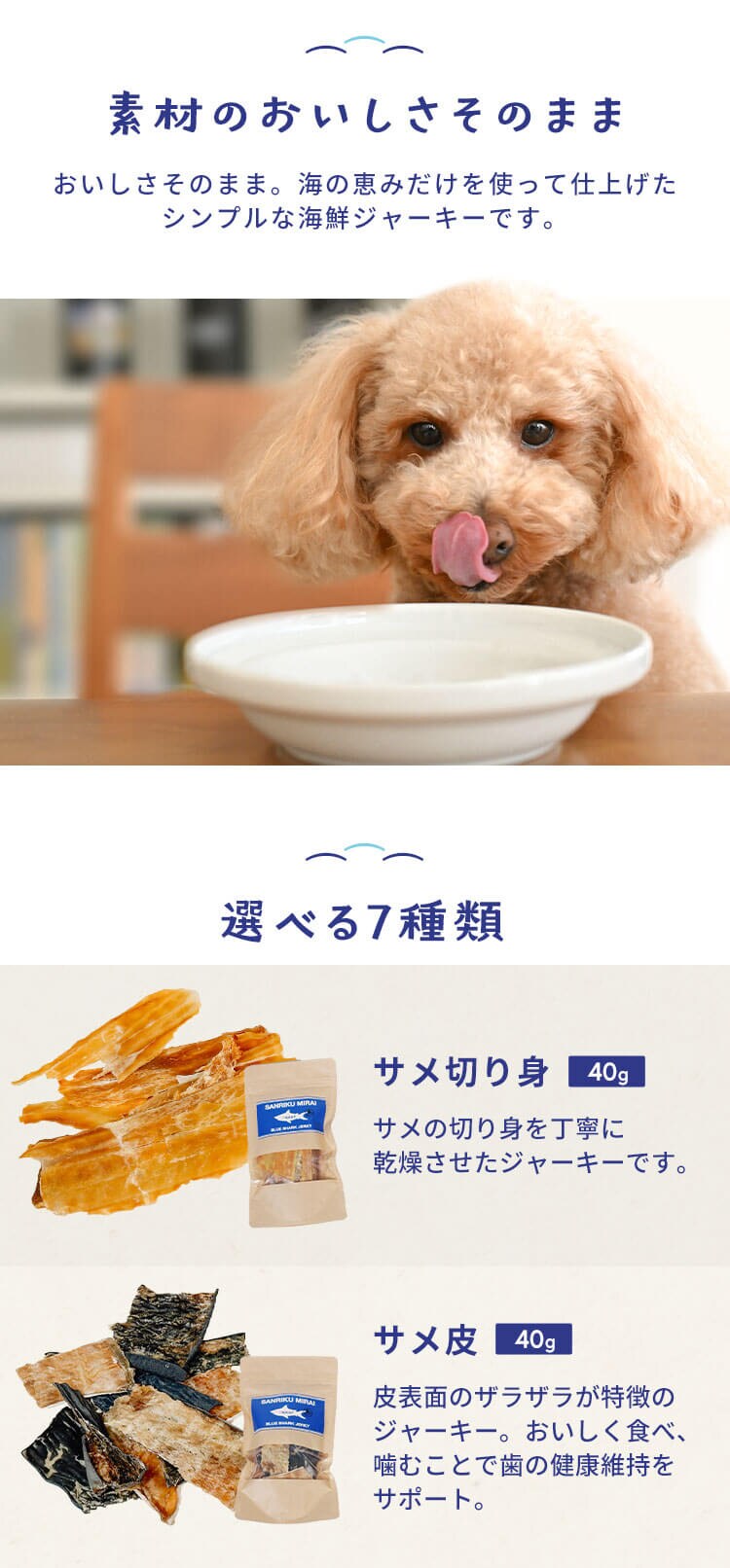 SANRIKU MIRAI サメ切身ジャーキー40g2