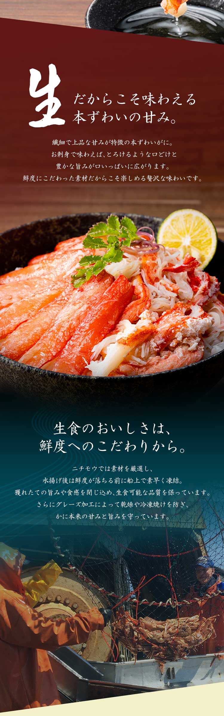 特大生ずわい蟹ハーフポーション750g 【時間指定不可】【代引不可】【同梱不可】8