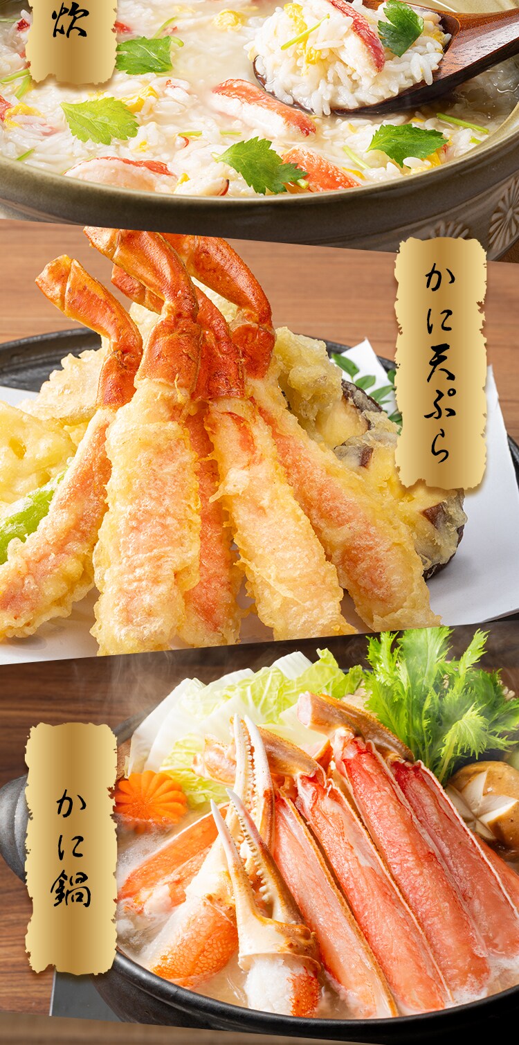 ボイルずわい蟹 肩（7〜8肩入） 【時間指定不可】【代引不可】【同梱不可】12