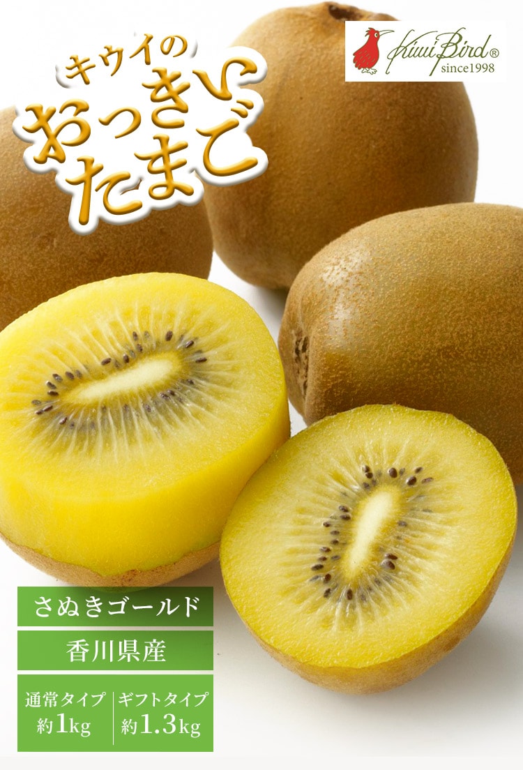 キウイの大っきいたまご（さぬきゴールド）ご自宅用 【時間指定不可】【代引不可】【同梱不可】0