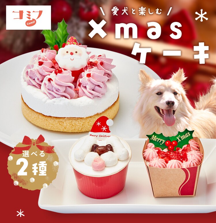 ケーキ 犬 クリスマス クリスマスケーキ パーティー コミフ Xmasケーキ【TD】【代引不可】0