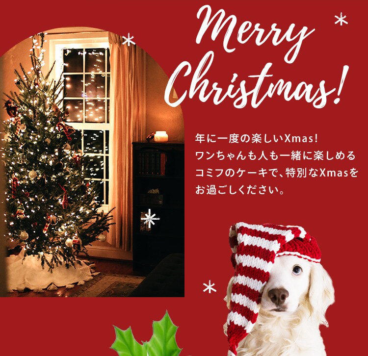 ケーキ 犬 クリスマス クリスマスケーキ パーティー コミフ Xmasケーキ【TD】【代引不可】1