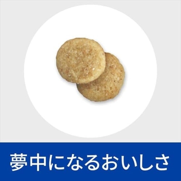 ヒルズ 療法食 尿ケア u/d 3kg 【単品・セット】2
