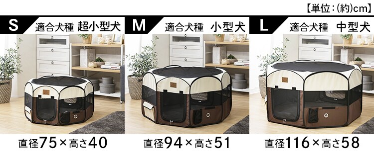 大きさ比較
