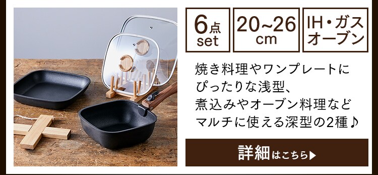 フライパン 24cm IH/ガス火対応 スキレットコートパン SKL-24IH21