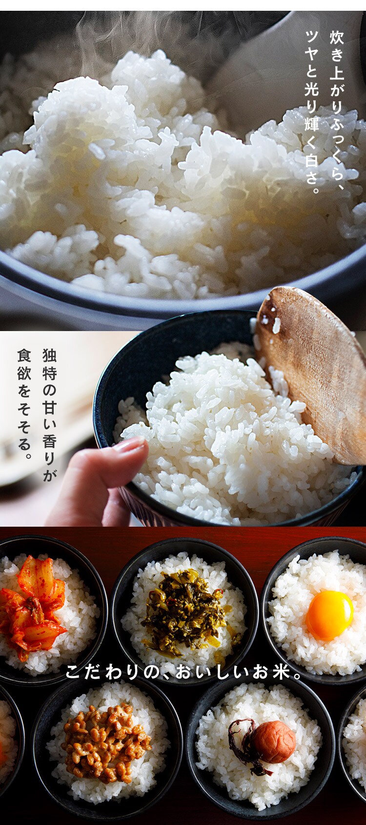 令和7年産 米 無洗米 新潟県産 コシヒカリ 1.5kg4