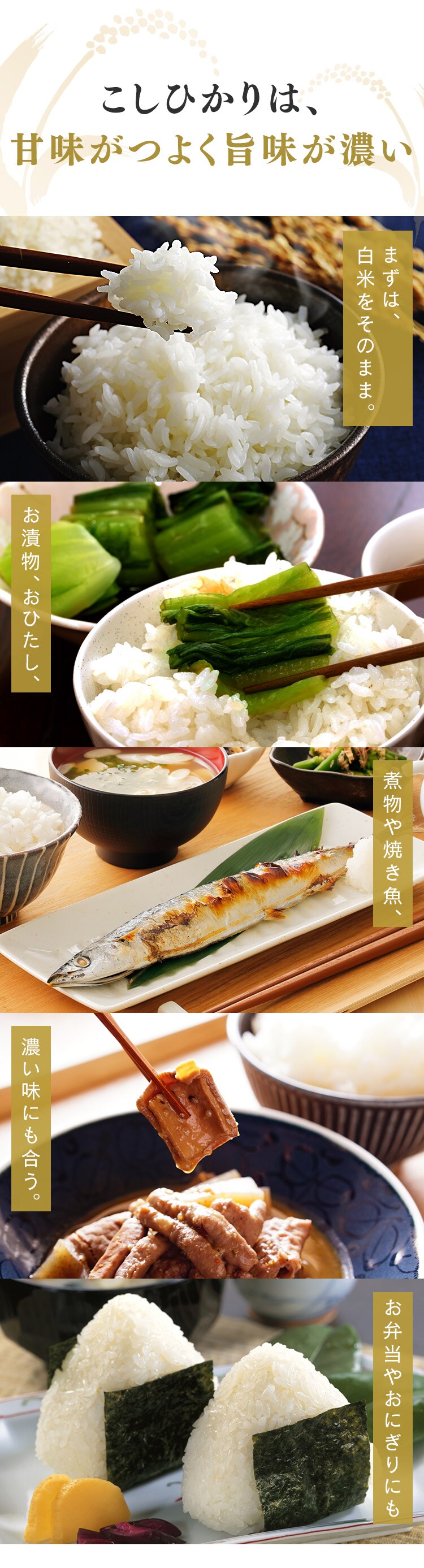 令和7年産 米 無洗米 新潟県産 コシヒカリ 1.5kg6