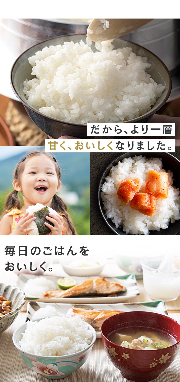令和7年産 米 無洗米 新潟県産 コシヒカリ 1.5kg9