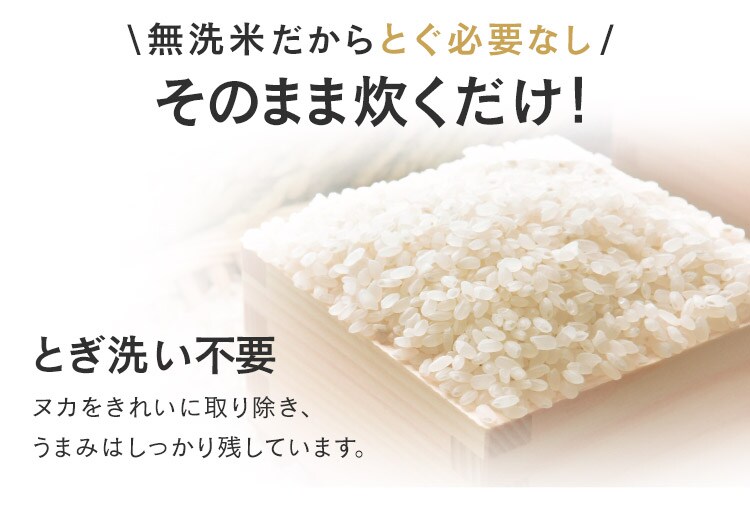 令和7年産 米 無洗米 新潟県産 コシヒカリ 1.5kg3