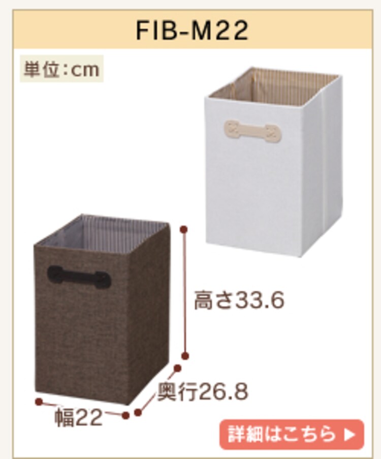 FIB-M22