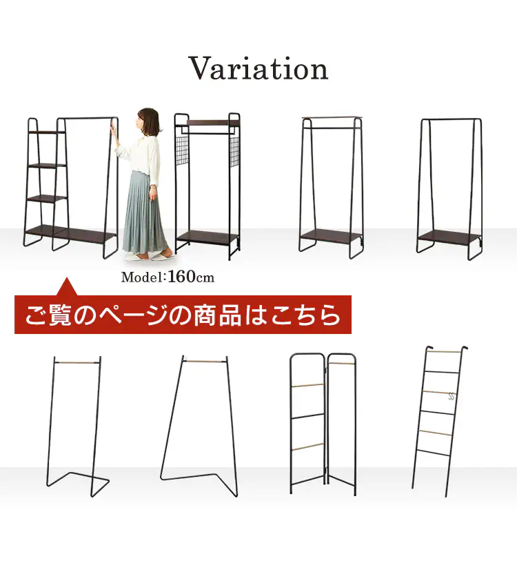 スタイルハンガー2WAYタイプ プレミアム ボード1枚+ラック付き PI-B3 全2色2