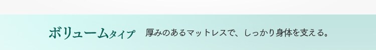 ボリュームタイプ