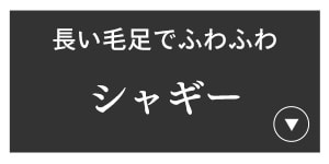 シャギー