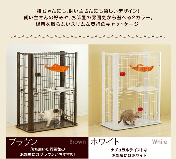 2カラー