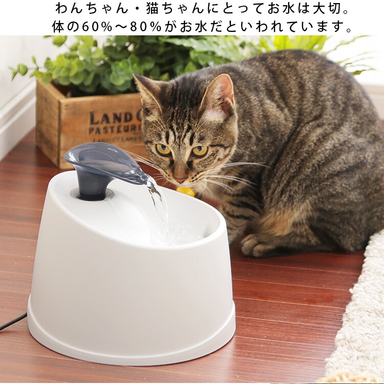 ペット用自動給水機 ホワイト/クリア PWF-2003