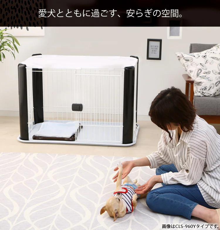 愛犬とともに過ごす、安らぎの空間