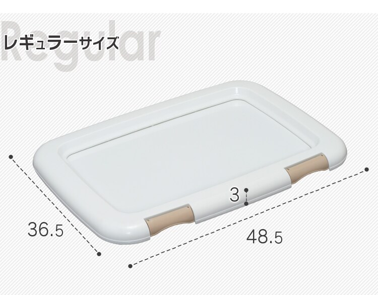 レギュラーサイズ
