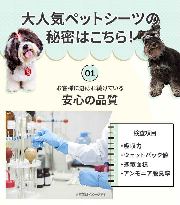 【訳あり】【800枚】 超薄型 ペットシーツ レギュラー  200枚&times;4袋0