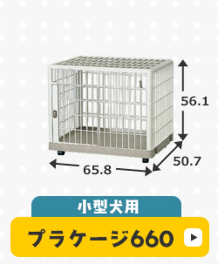 プラケージ　810(1段)　ベージュ6