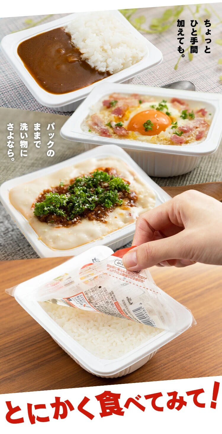 低温製法米のパックご飯 120g&times;80パック4