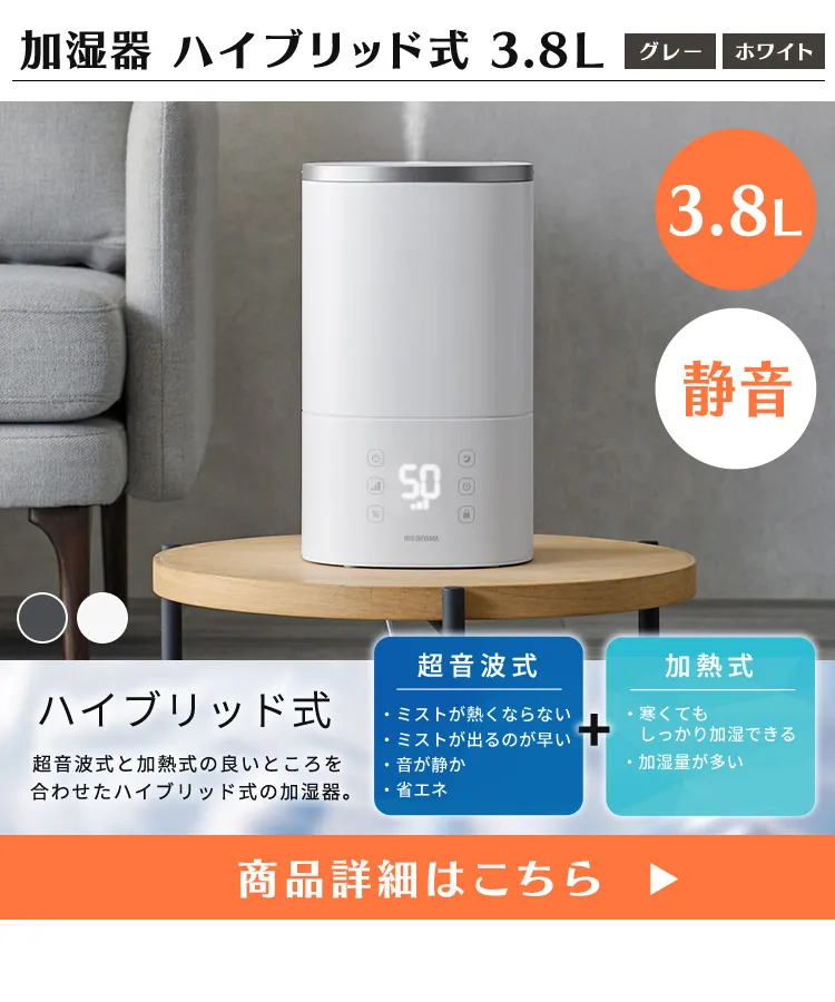 ������ �n�C�u���b�g�� 3.8L