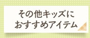 ���̑��L�b�Y�ɂ������߃A�C�e��