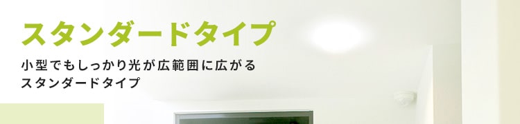 スタンダードタイプ