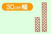 30cm��