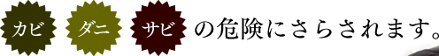 �J�r�_�j�T�r�̊댯�ɂ��炳��܂��B