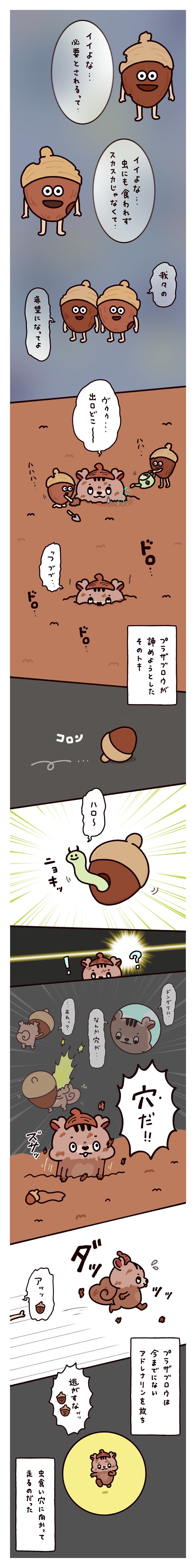 �y��55�b�z��]