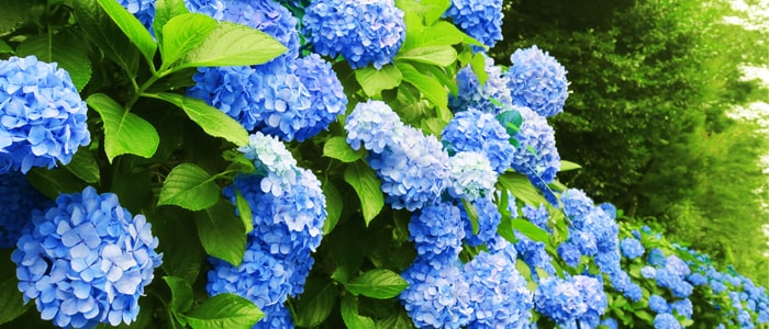 �~�J����