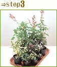 植え付ける前に花苗のレイアウトを決めておきましょう。