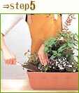 苗をプランターの縁よりも低く 植え、間に培養土をしっかり つぎ足します。