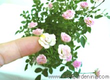 花材