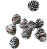 �J�c���}�c�w�b�h
