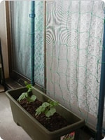 �c��A���܂���