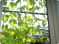 �A���t�������2����