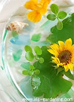 �u���ꏊ�͎����ł����O�ł��A��������̗ǂ��Ƃ���ł���΂ǂ���ł����܂��܂���B