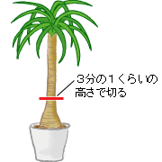 ����3����1���炢�̍����Ő؂�܂��B