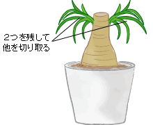 �����o����́A2�����c���đ���؂���܂�