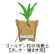 �}����́A�S�[���f������|�{�y�y�����؁E��܂��p�z�܂��͐ԋʓy�i�����j�ɑ}���A���邢���A�ŊǗ�����ƁA2�������炢�Ŕ������܂��B