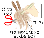 ����y���甲������A�������߂Ȃ��悤�ɌÂ��y�𗎂Ƃ��܂��B