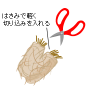 �����犔�𔲂��āA�͂��݂Ōy���؂荞�݂����܂��B