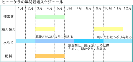 �q���[�P���̔N�ԍ͔|�X�P�W���[��