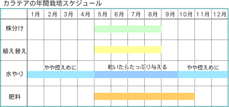 �J���e�A�̔N�ԍ͔|�X�P�W���[��