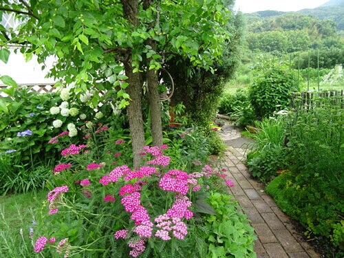 緑映える木々、植栽にこだわった心安らぐ庭