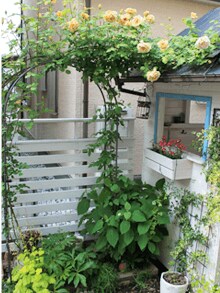 家族で作り上げた 理想の庭景色