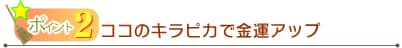 ポイント2.ココのキラピカで金運アップ