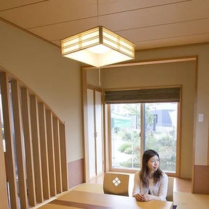 LED�a���y���_���g���C�g