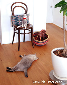 猫のおもちゃは、アフリカのカゴに収納して隠しています